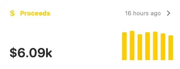 Proceeds report example